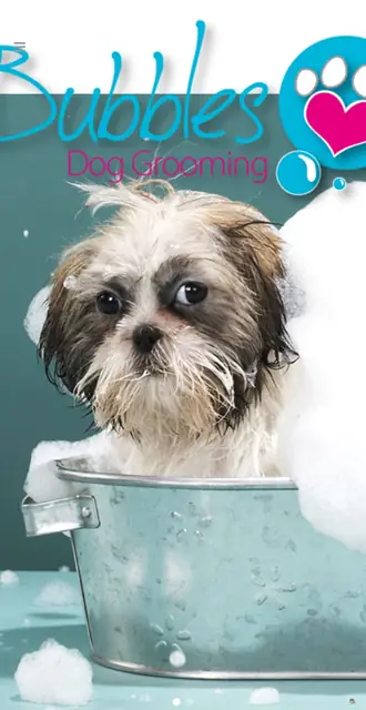 bubblesgrooming.co.uk today, on a phone